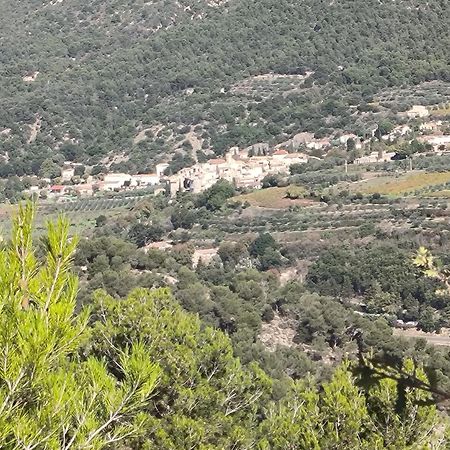 A L'Oree Des Oliviers Venterol  Exterior foto