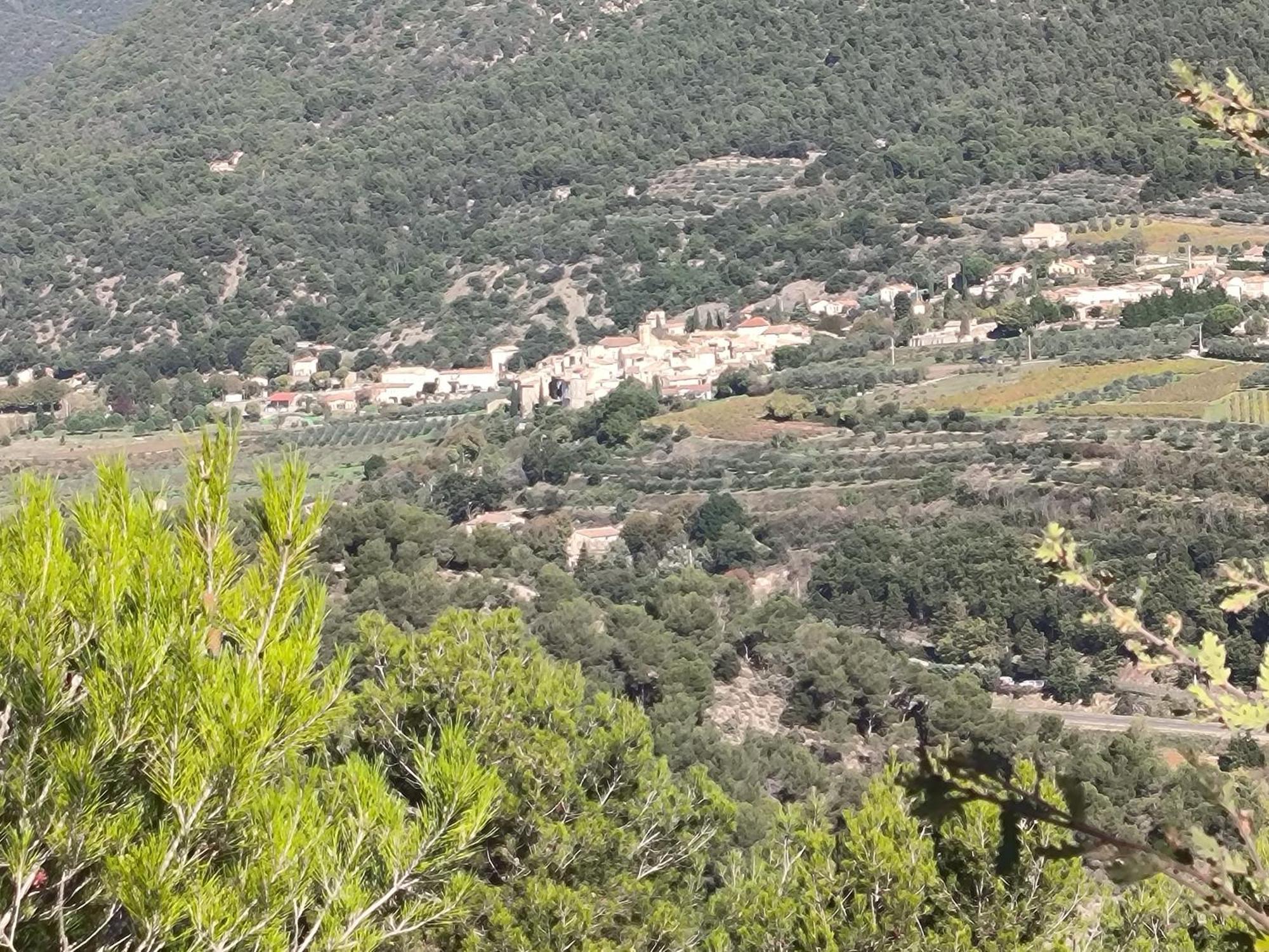 A L'Oree Des Oliviers Venterol  Exterior foto